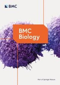 The function of wing bullae in mayflies (Insecta: Ephemeroptera) reveals new insights into the early evolution of Pterygota