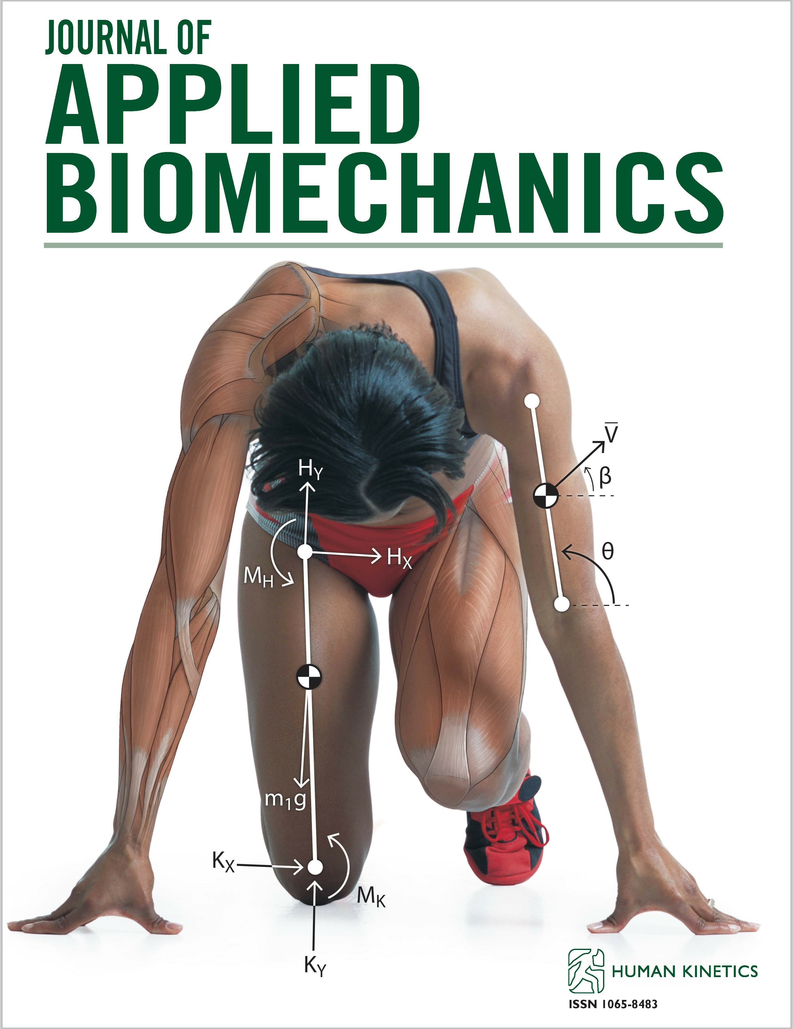 Tibiofemoral Load Magnitude and Distribution During Load Carriage