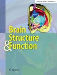 Selective vulnerability of motor neuron types and functional groups to degeneration in amyotrophic lateral sclerosis: review of the neurobiological mechanisms and functional correlates