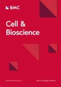 Animal models of primary biliary cholangitis: status and challenges