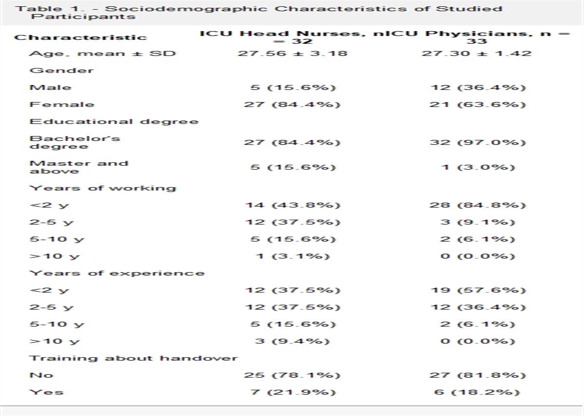 Nurses' Versus Physicians' Perceptions of the Bedside Handover Practice in the Intensive Care Unit: An Egyptian Prospective, Comparative Study